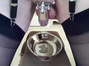 Chastity, milk, pee and cum