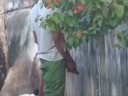 Jamaican pissing in public