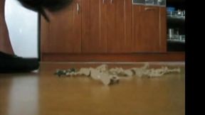 pov crushing fetish