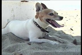 The Unforgettable X!!! - vol #11