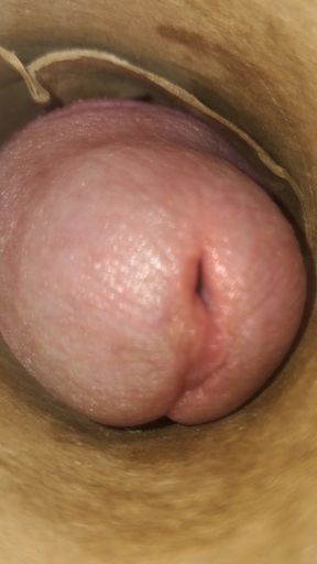 POV: Cummin' Inside of You