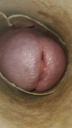 POV: Cummin' Inside of You