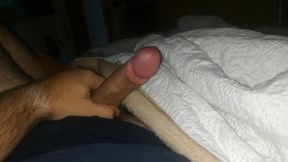 Budjenje