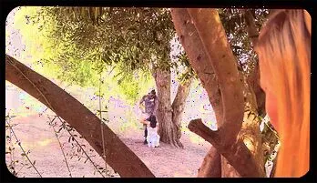 Destiny Love Rides BBC Outdoors in Reverse Cowgirl Uncut