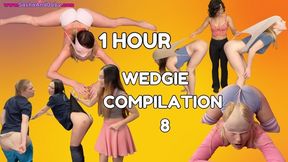 Wedgie Compilation 8 - One Hour Compilation of Amazing Wedgie Videos. - Dweeb Atomic Loser Collection