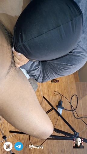 DOMESTICATED SUCKER   Clip 2