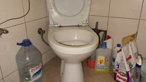 Licking Dirty Floor and Toilet, Flashing Head in It