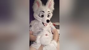 Fursuit Pubby Paws Off Until He