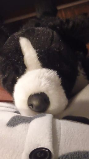 POINT OF VIEW Plushie Border Collie Makes Onesie Puppy Jizz!