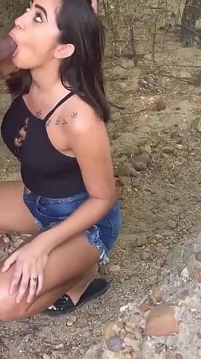 Puts the Whole Dick in the Pussy