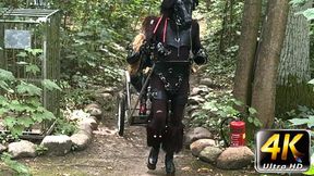 Ponyplay Cart Pulling 3 copy