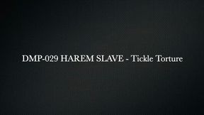 Harem Slave - Tickled HPDP-029 - HD