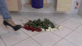 Roses under High Heels