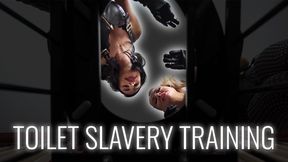 Toilet Slavery Training, Spitting, and Human Ashtray: Welcome to your New Home, a POV with Goddess Ambra and Goddess Samariel