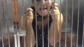 Caged COUGAR amateur Thai bitch P-O-V blowjob through the bars