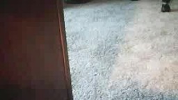 hot crossdresser masterbating