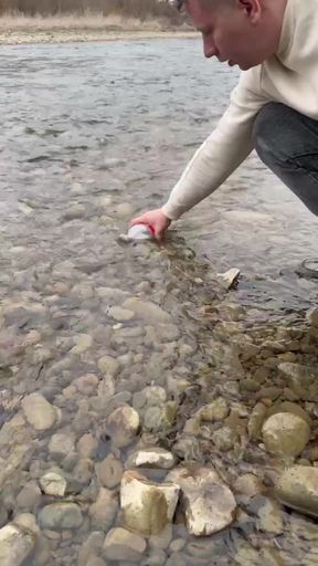 Survival lifehack bushcraft ✅ survival  camping lifehacks outdoors forest bushcraft shorts