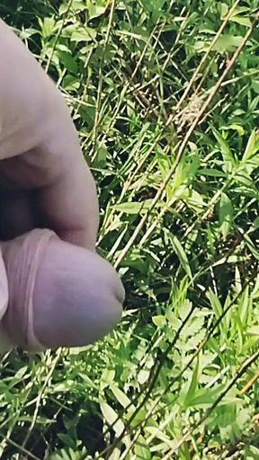 First Outdoor Summer Cum