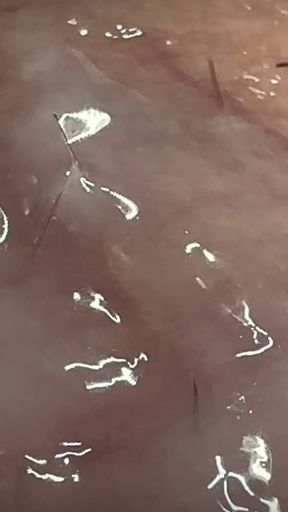 Big White Penis Squirts in Closeup