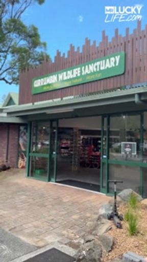 A Real Australian Experience With Aussie Hottie Jade Harper