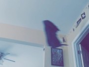Sc Kyle Butler Towel Drop