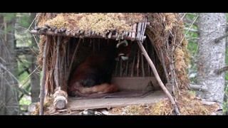 CHILL DAY IN CANADA - LUNA’S JOURNEY (EPISODE 39)