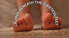 GiANTESS EATS ABOVE YOU