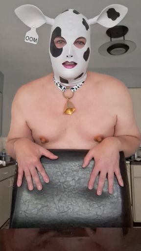 Daddy's Pretty Plump Hucow! Moo!