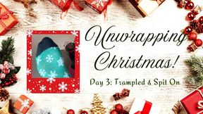 Unwrapping Christmas: Day 3 Trampled & Spit On