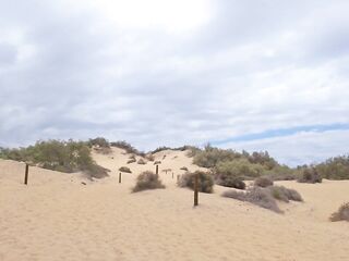 Lily's Adventure: LARGE SHOCK In The Midst Of The Dunes! - LilyKoti