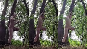 bts self-tying in the woods. there is a virtual reality(!!) recording of this too, which makes you feel like you are really t...