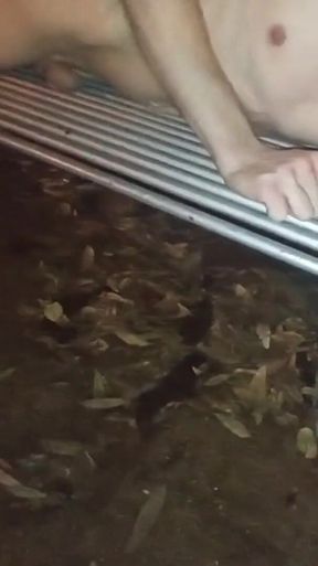 Masturbating Totally Naked in Public and Cum