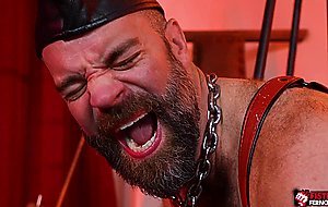 Hairy bear daddy anal fisted by his bdsm loving gay son