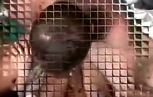 Tranny gets stuffing after sucking motion