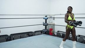 Kickboxing In The Ring (4k)