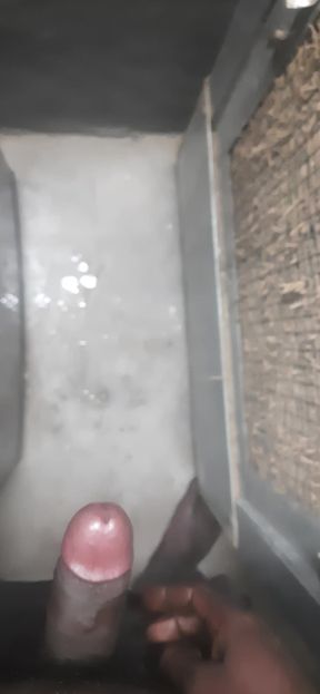 I Masturbated Today.