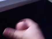 Quick nut