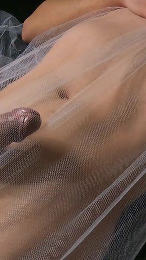 I Bought Some Transparent Sheets so You Can Enjoy My Wet Dream