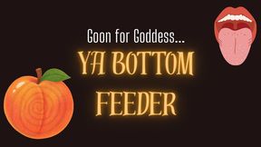 Ya Bottom Feeding Gooner