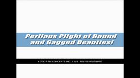 Plight of Bound and Gagged Beauties - FULL EIGHT-SCENE VIDEO! 1080p