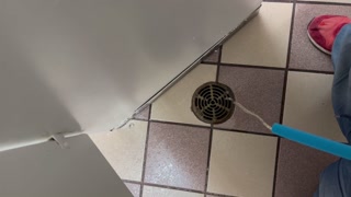 Someone enter toilet when i was peeing on the floor