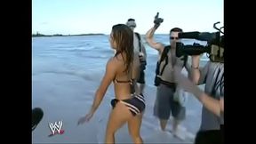 WWE Divas bikini montage.