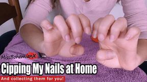 Clipping my Long Nails and Collecting Them For You - Hands Fetish - MissBohemianX - SD MP4