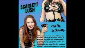 Pay Pig in Chastity