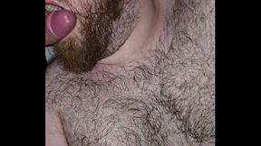 Hairy bear sucks my cock