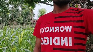 Big cock man: amateur bareback fun and romance - no washing, no age, no girls, no babes!