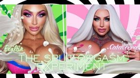 THE SPLIT ORGASM EXPERIMENT Calaverra & Exaltia