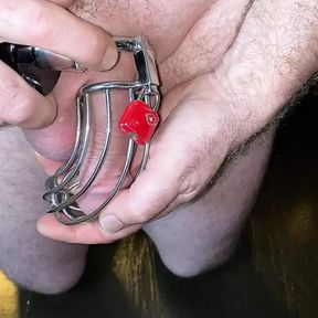 Chastity bird cage escape and relock