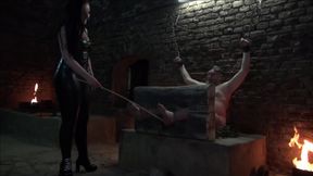 Bastionade for the slave