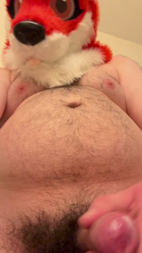 Alaskan Furry Fox